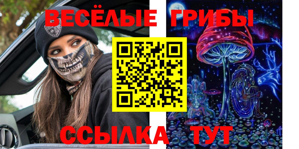 Псилоцибиновые грибы мицелий Отрадное